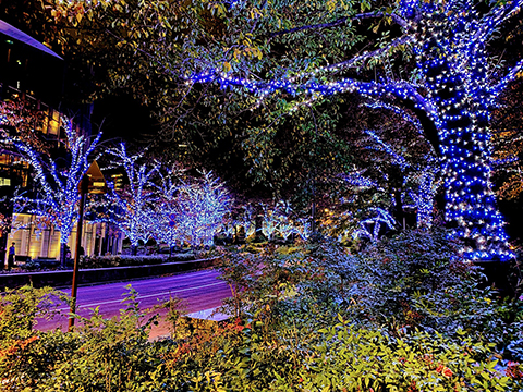 ZHONGSHAN NEWTOPCAN Lighting Products Sell Well Globally, Customer Satisfaction Soars